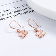 925 Sterling Silver Women's Simple Earrings stone - Dangle earrings silver