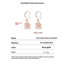 925 Sterling Silver Women's Simple Earrings stone - Dangle earrings silver