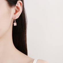925 Sterling Silver Women's Simple Earrings stone - Dangle earrings silver