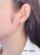 925 Sterling Silver Huggie Earrings – Ice Out CZ Diamond02
